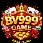 BV999 Game