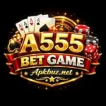 A555 Bet Game