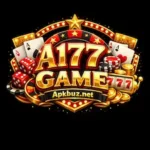 A177 Game