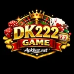 DK222 Game
