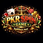 PKRSpin Game