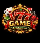 V77 Game